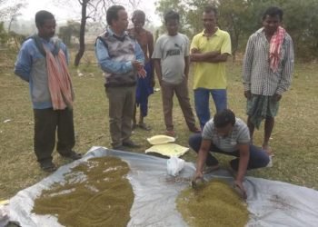 रबी फसलों में से, देश में 310 लाख हेक्टेयर जमीन पर67 प्रतिशत गेहूं बोया गया था