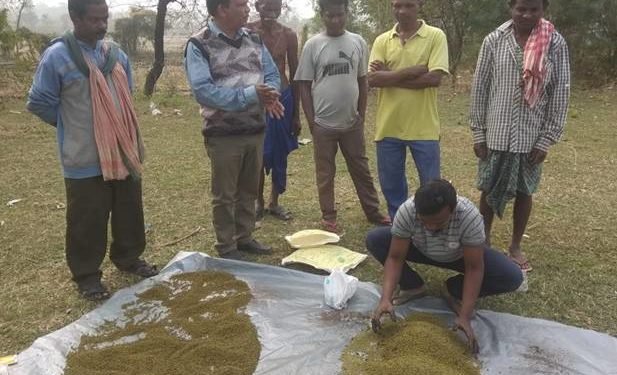 रबी फसलों में से, देश में 310 लाख हेक्टेयर जमीन पर67 प्रतिशत गेहूं बोया गया था