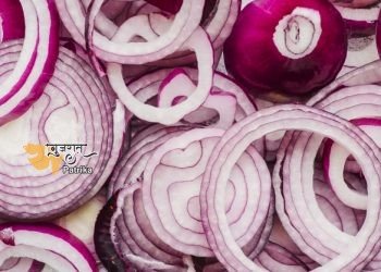 प्याज की कीमतों को नियंत्रित रखने के लिए सरकार द्वारा किए गए उपाय