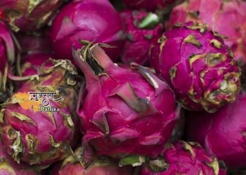 चीनी नामों पर रुपाणी सरकार की हड़ताल, नाम बदलकर किया गया ‘कमलम’