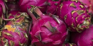 चीनी नामों पर रुपाणी सरकार की हड़ताल, नाम बदलकर किया गया ‘कमलम’