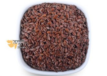 अलसी के कई फायदे