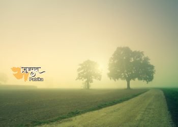 कोहरे के खेत