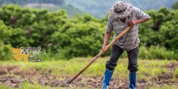गुजरात में 54 लाख किसानों ने धोखा पाया, उर्वरक की कीमतें 58% बढ़ीं, 1400 करोड़ रुपये का बोझ