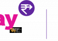 रैपिपे ने डिजिटल बैंकिंग में कदम रखा, 15 मिलियन यूएसडी जुटाए