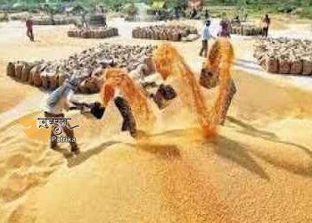एमपी ने तोड़ा अपना ही रिकॉर्ड, 8 लाख किसानों ने बेचा 45 लाख हजार टन धान