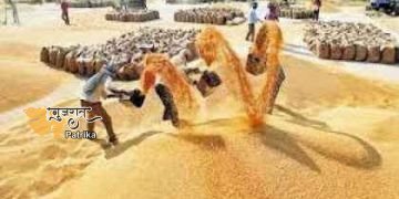 एमपी ने तोड़ा अपना ही रिकॉर्ड, 8 लाख किसानों ने बेचा 45 लाख हजार टन धान
