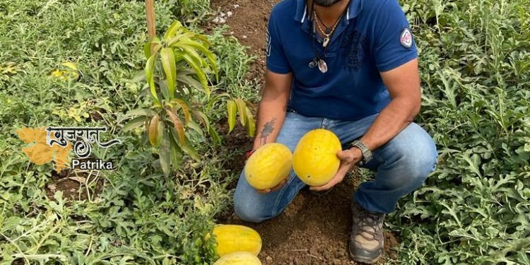 सूरत जिले के प्रगतिशील किसान ने अनानास के स्वाद के साथ ताइवान तरबूज की खेती की