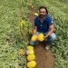 सूरत जिले के प्रगतिशील किसान ने अनानास के स्वाद के साथ ताइवान तरबूज की खेती की