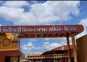 मेंडर्डा का मार्केटिंग यार्ड आज मार्च समाप्त होने के साथ बंद कर दिया गया