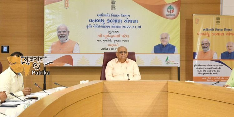 मुख्यमंत्री श्री भूपेंद्र पटेल ने प्रदेश के 14 आदिवासी जिलों में 1 लाख 23 हजार आदिवासी किसानों के लिए कृषि विविधीकरण योजना का शुभारंभ किया.