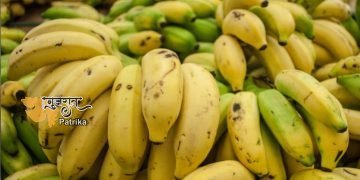 बीपी कंट्रोल के लिए केला: क्या केला बीपी को कंट्रोल करने में मदद करता है? आप भी जानिए