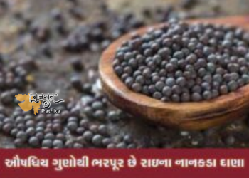 बारिश के नन्हे-नन्हे दानों में छिपा है हर समस्या का समाधान, हैं चौंकाने वाले फायदे