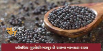 बारिश के नन्हे-नन्हे दानों में छिपा है हर समस्या का समाधान, हैं चौंकाने वाले फायदे