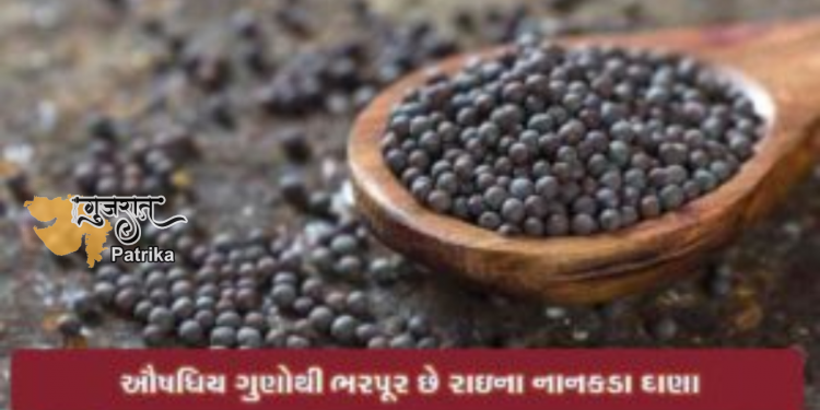 बारिश के नन्हे-नन्हे दानों में छिपा है हर समस्या का समाधान, हैं चौंकाने वाले फायदे