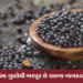 बारिश के नन्हे-नन्हे दानों में छिपा है हर समस्या का समाधान, हैं चौंकाने वाले फायदे