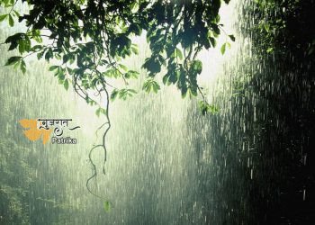 राज्य में भारी से बहुत भारी बारिश का अनुमान है, जिले में रेड अलर्ट जारी किया गया है