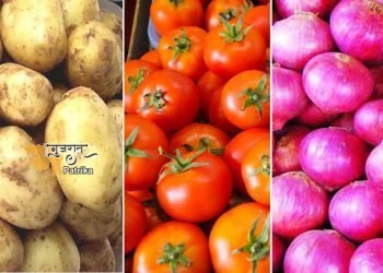 केंद्र सरकार द्वारा हस्तक्षेप करने से प्याज और टमाटर की कीमतों को कम करने में सहायता मिली