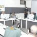मुख्यमंत्री ने जामनगर जिले के पदाधिकारियों एवं उच्चाधिकारियों के साथ बैठक कर ढेलेदार चर्म रोगों की स्थिति की समीक्षा की