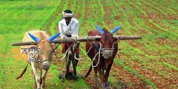 सरकार को सौंपे जाने के बाद भी किसानों की समस्या का समाधान नहीं हुआ तो कल विरोध करेगा किशन संघ, ये होगी रणनीति