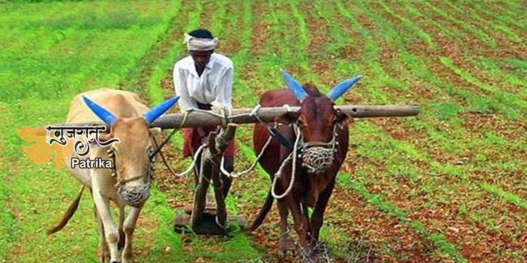 सरकार को सौंपे जाने के बाद भी किसानों की समस्या का समाधान नहीं हुआ तो कल विरोध करेगा किशन संघ, ये होगी रणनीति