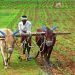 सरकार को सौंपे जाने के बाद भी किसानों की समस्या का समाधान नहीं हुआ तो कल विरोध करेगा किशन संघ, ये होगी रणनीति