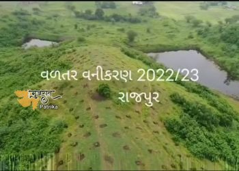 दाहोद जिले में 9 तालुका हैं। जिसमें बरिया वन मंडल का कुल वन क्षेत्र 815.37 वर्ग किमी है। एक झलक देखें