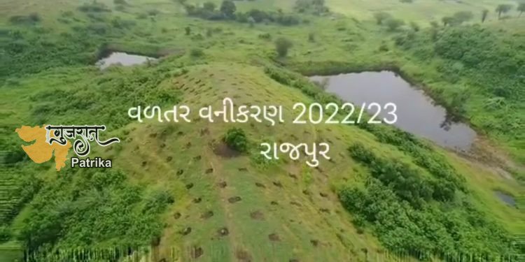 दाहोद जिले में 9 तालुका हैं। जिसमें बरिया वन मंडल का कुल वन क्षेत्र 815.37 वर्ग किमी है। एक झलक देखें