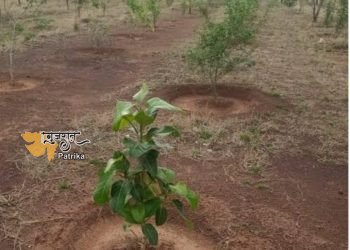 प्रधानमंत्री ने सीआरपीएफ कर्मियों के पौधा रोपण अभियान की सराहना की