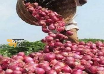 धरती के सपूतों को उम्मीद है कि तलजा में प्याज की फसल पैदा होगी