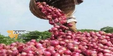 धरती के सपूतों को उम्मीद है कि तलजा में प्याज की फसल पैदा होगी