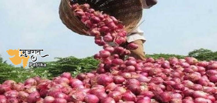 धरती के सपूतों को उम्मीद है कि तलजा में प्याज की फसल पैदा होगी