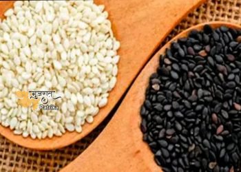चिक्की और सानी बनाने के लिए काले और सफेद तिल की मौसमी मांग बढ़ी है