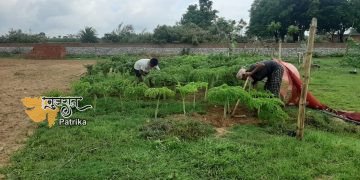 प्रधानमंत्री ने लोगों से अपने घरों में जैविक खेती करने को कहा