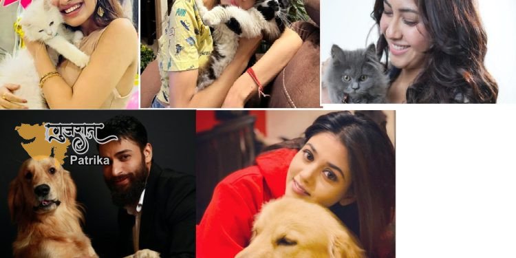 पॉसम सेलीब्रेशन्‍स : कलर्स के कलाकारों ने नेशनल पेट डे पर अपने प्‍यारे पेट्स के दिल छू लेने वाले किस्‍से बताये