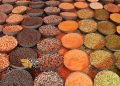 दालों के बीजों की अधिक उपज देने वाली प्रजातियाँ