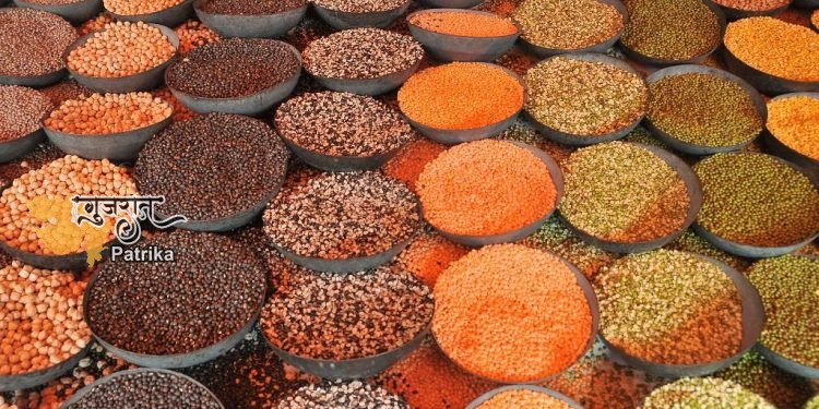 दालों के बीजों की अधिक उपज देने वाली प्रजातियाँ