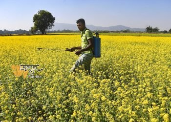 प्राथमिक कृषि ऋण समितियों (पीएसीएस) की सेवाएं