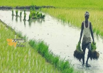 विकसित गांव-विकसित भारत थीम पर झारखंड में किसान समागम 1 जनवरी को