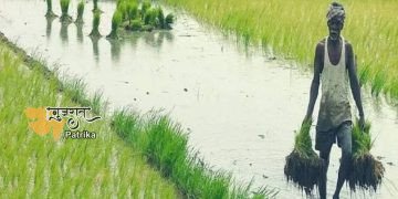 विकसित गांव-विकसित भारत थीम पर झारखंड में किसान समागम 1 जनवरी को