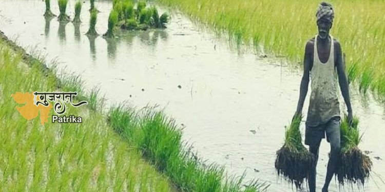 विकसित गांव-विकसित भारत थीम पर झारखंड में किसान समागम 1 जनवरी को