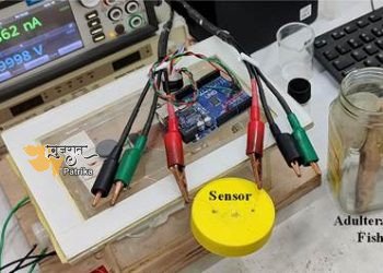 नया फॉर्मेल्डिहाइड सेंसर बिना किसी नुकसान के कमरे के तापमान पर मिलावटी मछली का पता लगा सकता है