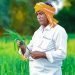 चालू वर्ष में अब तक प्रधानमंत्री फसल बीमा योजना के तहत नामांकन में 27% की वृद्धि