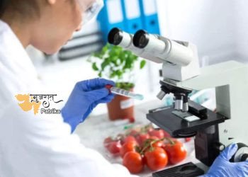 एफएसएसएआई ने दिल्ली के प्रमुख बाजारों में खाद्य सुरक्षा पहलुओं पर जागरूकता अभियान शुरू किया